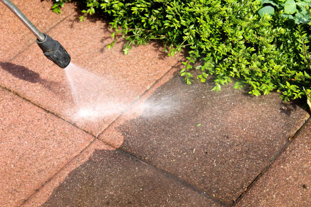 Best Local Pressure Washing Services  in Roselle Park, NJ